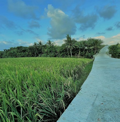 WhatsApp Image 2024-10-22 at 16.29.03