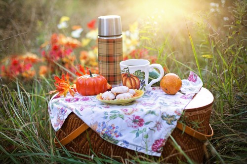 7 staycation vacation ideas for those of you who are busy, but need a vacation.