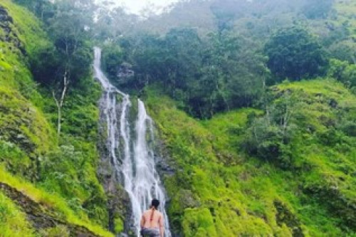 DESA WISATA COLOL: MENYELAMI KEINDAHAN AGROWISATA KOPI DAN BUDAYA MASYARAKAT YANG MENAWAN DI NTT