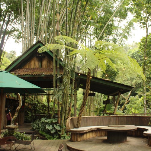 Exploring Agriculture Old Village by Cycling