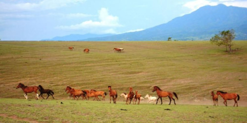 Discover the Enchantment of Millions of Colors at Watu Nggene Tourism Village: Savanna Fields and Historical Heritage! — Bali village tour package