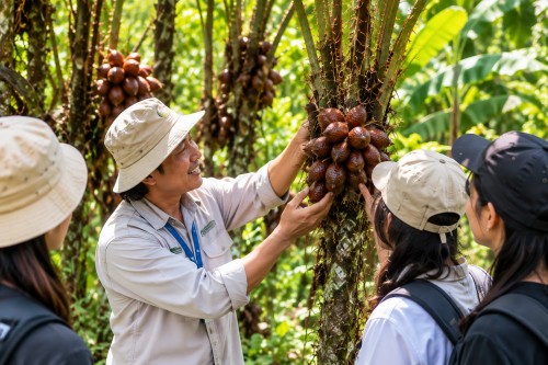 Salak Agro Forestry — Bali village tour package